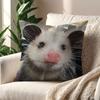 Modern Opossum Kawaii Cushion Cover For Pillow Printing Sofa Decoration Home Car Room Coffee Shop Office Nordic Simplicity
