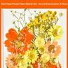 Autumn Dried Flower Bookmark Kit: Transparent Leaf Specimen with Lamination Film Stickers