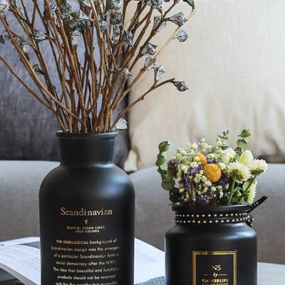Nordic Minimalist Black Vase - White Matte, Small Living Room Flower Decor
