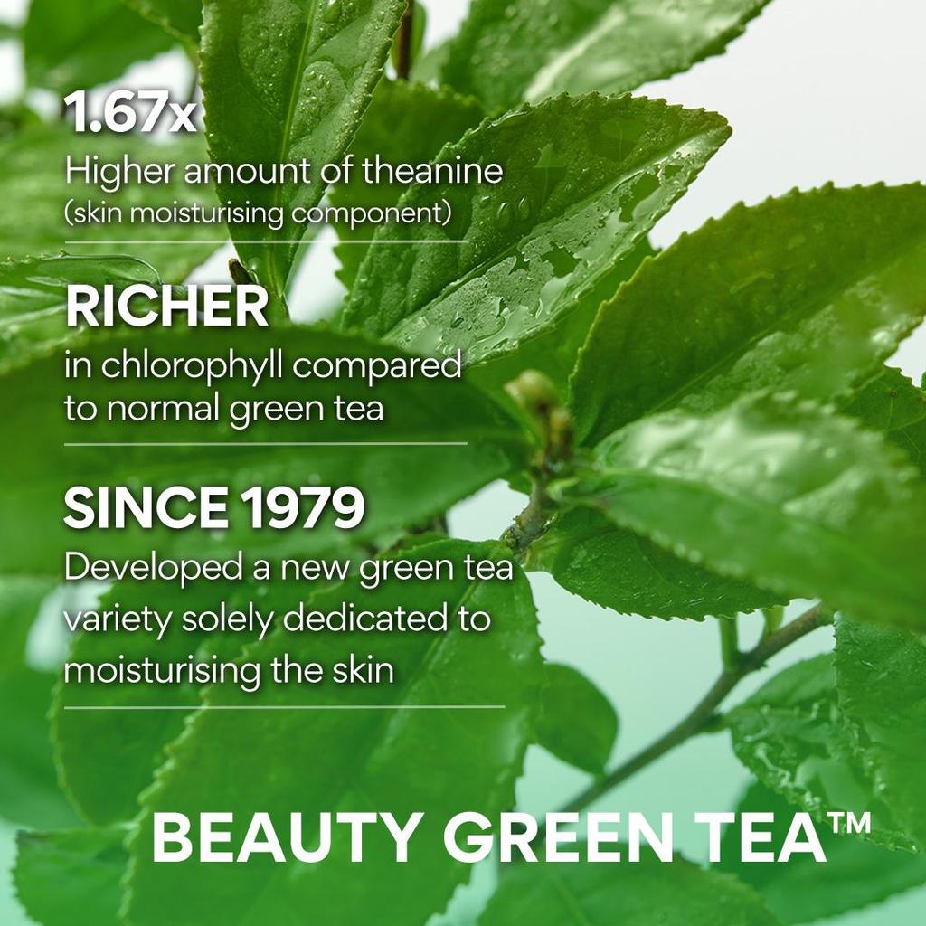 Innisfree Green Tea Seed Hyaluronic Cream 50ml NEW