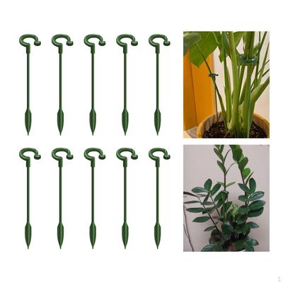 Înverzire şi amenajare – Susținere plante