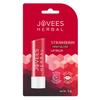 Jovees Herbal Strawberry High Gloss Lip Balm 5g For Soft Supple Lips 24 Hour Hydration And Natural Nourishment