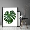 Picture, poster In a frame 43x33 cm Leaf 1 P569