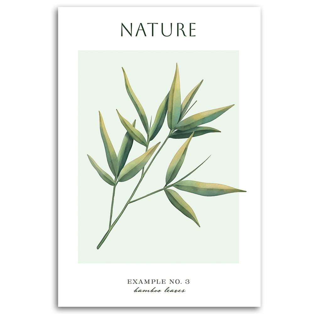 Canvas Print, Bamboo Leaves - Nature