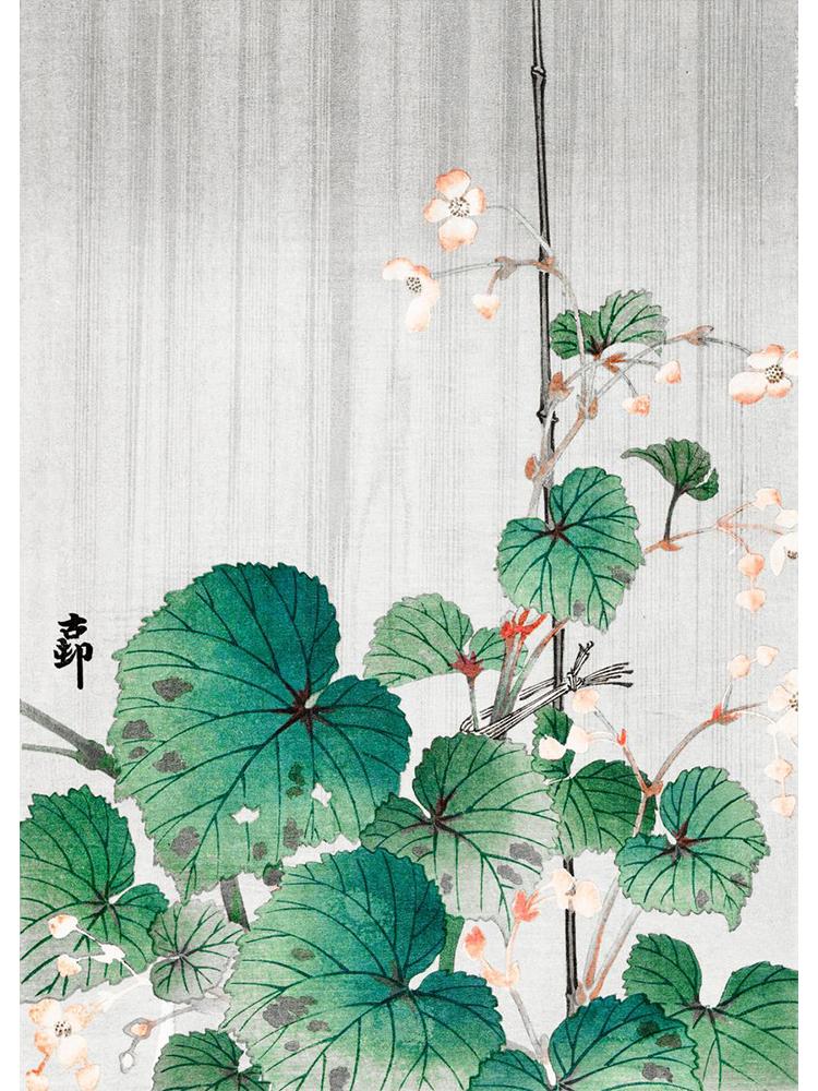 Japan Artist Ohara Koson Classic Artwork Poster Canvas Painting Monkey Goose Flower Birds Wall Art For Living Room Home Decor