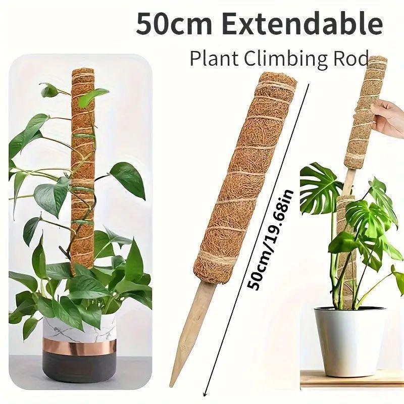 Coconut Palm Stick & Turtle Back Climbing Pole for Plant Support