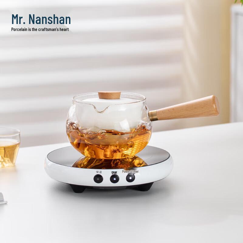 Heat-Resistant Glass Teapot with Side Handle
