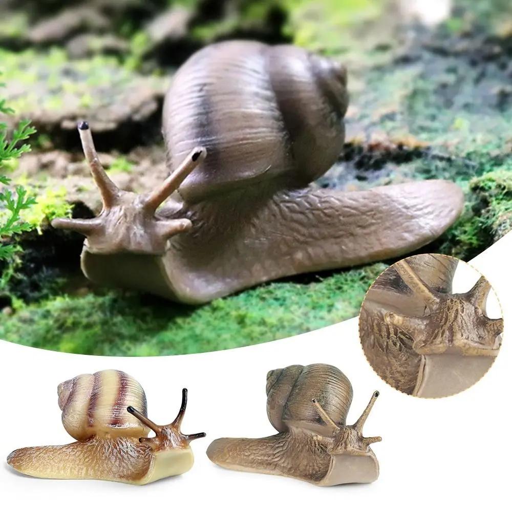 Strumento Didattico Ornamento da Scrivania Decorazione Decorazione da Giardino Statuetta Lumaca per Giardino delle Fate Statua Lumaca Mini Figure di Animali