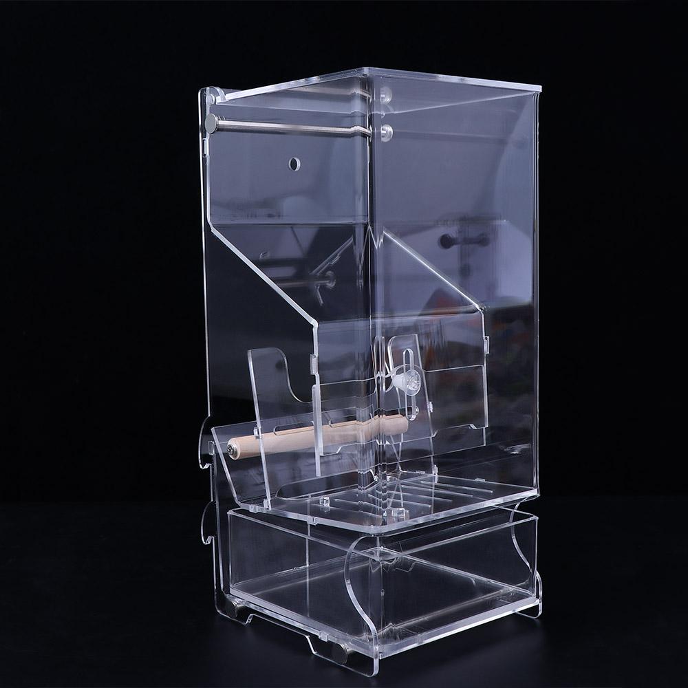 Easy to Install Automatic Parakeet Cage Accessories Bird Feeders Dispenser Parrot Feeding Bowl