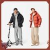 Li Ning Sports Trendy Collection Down Jacket Men's AYMV191-4