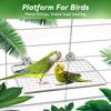 Platform Perch for Parrots,7.87 x 5.90 Inch Bird Flat Perches Stainless Steel Budgie Stand Shelf Rectangle Anti-Chewing Bird Cage Accessories for