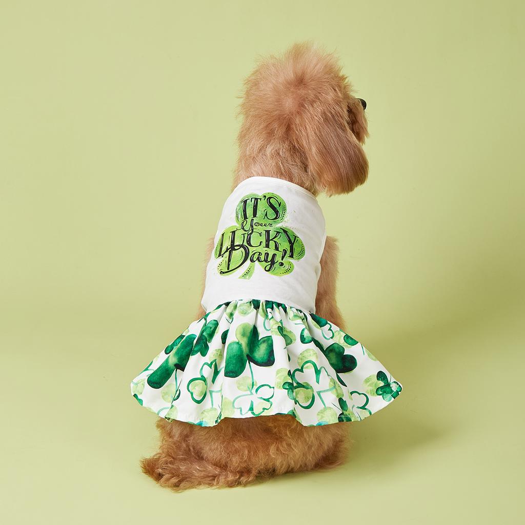 Cutest Clover In The Dog Dress, St Patricks Day Dog Clothes for Small Dogs Girl, Funny Pet Apparel Cat Holiday Outfit