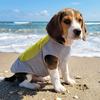 Breathable Mesh Pet Cooling Shirt Sun Protection Dog Ice Cool T-shirt  Outdoor Walking Dog