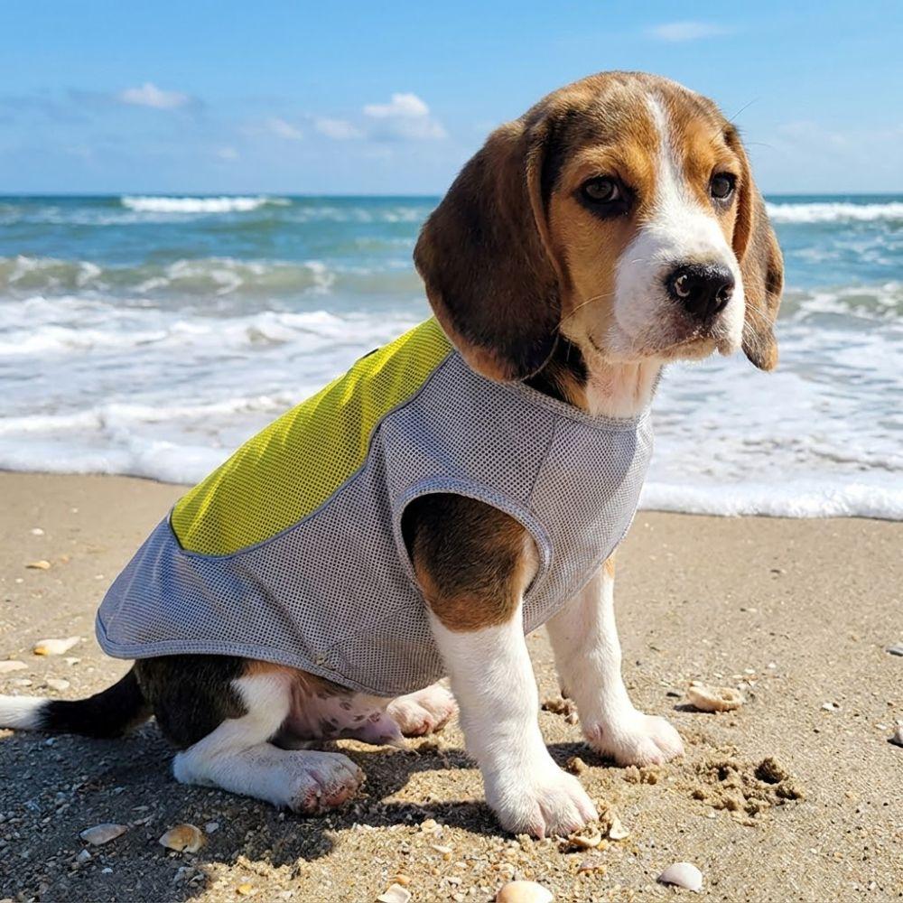 Breathable Mesh Pet Cooling Shirt Sun Protection Dog Ice Cool T-shirt Outdoor Walking Dog