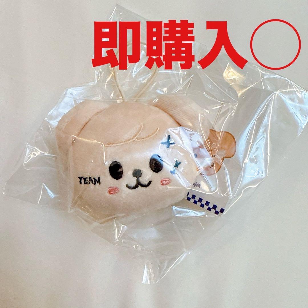 

[USED] Stray Kids SKZOO Name Tag Pop-Up Skiz Puppy