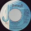 7inch Record YORUBA  Burning Hot NONE Jammys Records 1991 Jamaica Reggae Ska  Dub Used