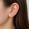Pendientes – Pendientes de clavel