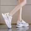 Mesh Dad Shoes Ins Trendy New Autumn Casual Shoes Thick-soled Heightening Sports Shoes