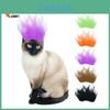 Vibrant Halloween Pet Wig Accessories In Bright Colors For Fun Dog And Cat Costumes