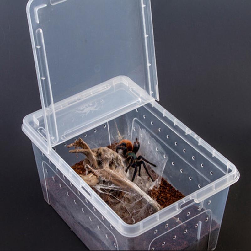 Reptile Feeding Box Tortoise Habitat Side Ventilation Hole Habitat Insect Feeding Box Terrarium Tank Escape Proof Feeding Box