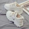 Daddy Shoes Women's Autumn and Winter New Trendy Student Sports Little White Shoes Fashion Casual Platform Women's Shoes