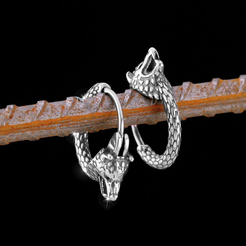 New Design Creative Nordic Stainless Steel Vintage Viking Earrings Fashion Teen Animal Amulet Jewelry Studs Gift