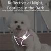 Anti Loss Adjustable Dog Harness Leash Set Breathable Reflective Pet Vest Style Harness Kawaii Mesh Pet Chest Strap Daily Walk