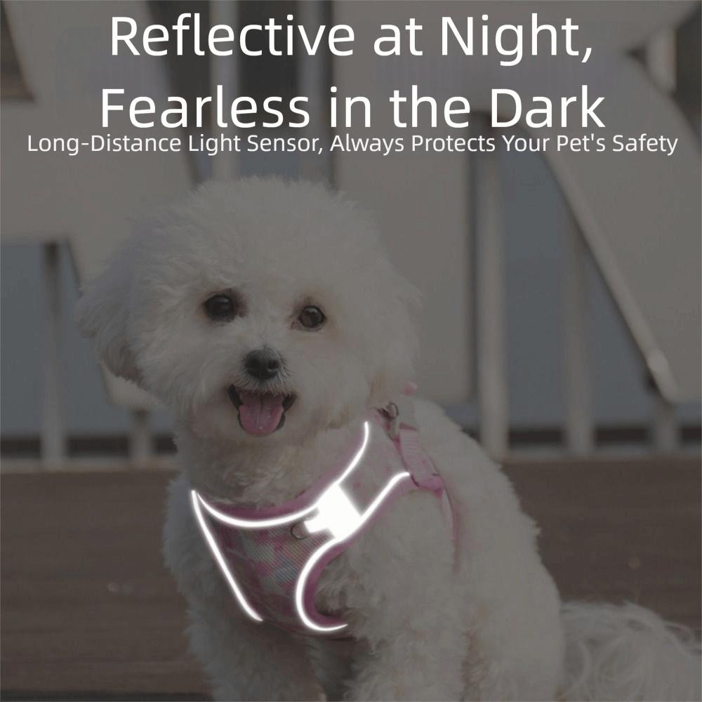 Anti Loss Adjustable Dog Harness Leash Set Breathable Reflective Pet Vest Style Harness Kawaii Mesh Pet Chest Strap Daily Walk