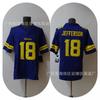 Mens Embroidered Minnesota Vikings NFL Football Jersey T-Shirt Cotton Blend Sportswear Fans