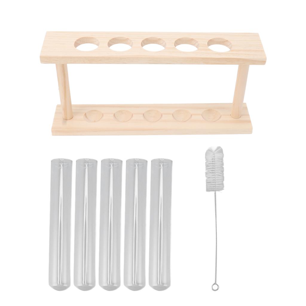 5 Test Tube Plant Terrarium Transparent Observe Growth State Plant Terrarium with Wooden Stand