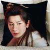 Cheng Yi Zeng Shunxi Xiao Shunyao Poster Double-sided Printed Pillowcase Mysterious Lotus Casebook Home Car Decor Cushion Cover
