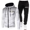 Herren Einfarbige Fleece Kapuzen Trainingsanzug Set Langarm Reißverschluss Oberteil Hose Sport Freizeit Outfit