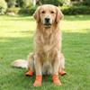 Non-Slip Pet Dog Boots Breathable Dog Shoe Cover Fashion Paw Protectors  Spring Season