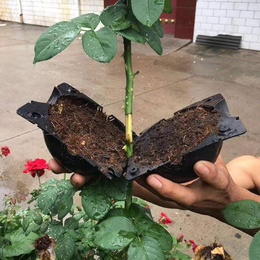 Plant High Pressure Box Propagation Ball Multipurpose Growing Supplies for Home Festival Fruit Tree Plant Growing Supply