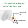 AB26 USB Charging LED Bulb Night Market Stall Lights Outdoor Camping Hanging Lamp, Power: 30W (White)
