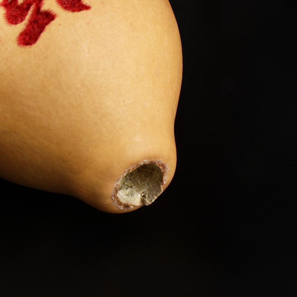 Shui with Tassel Bring Wealth and Luck Hanging Ornament Housewarming Gift Gourd Crafts Home Decor