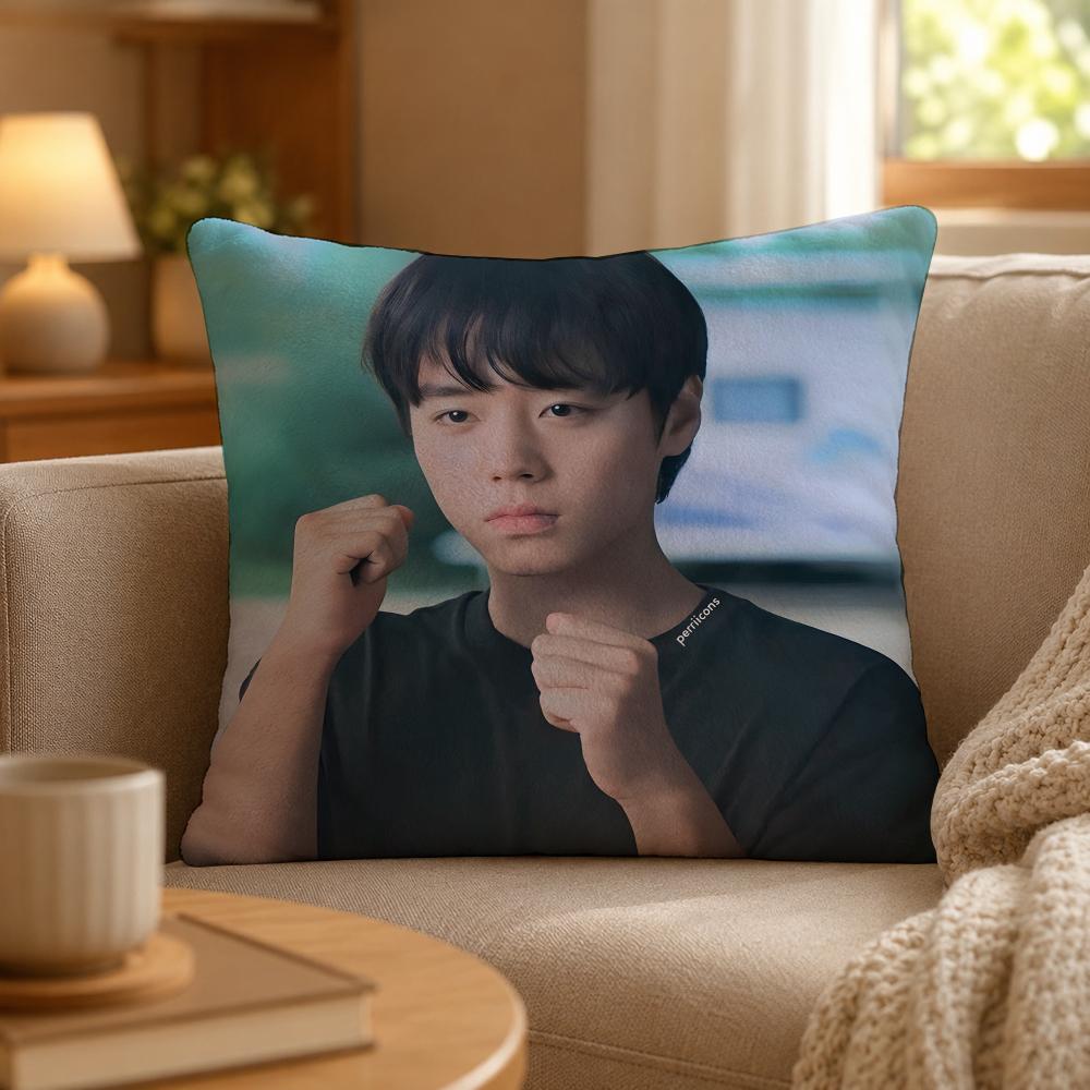 Series Weak Hero Class One Cushion Cover Personalized Short Plush Cushion Cover Sofa Pillowcase Bedroom Home Decor Gift