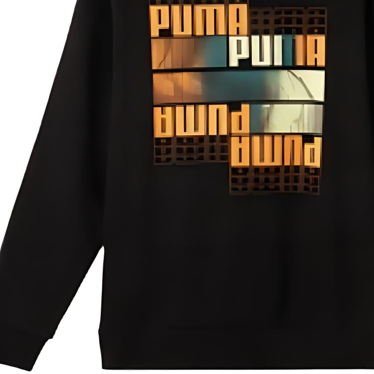 PUMA Urban GRAPHIC HOODIE Casual Fleece Lined Hooded Sweatshirt Men's Black 631729-01