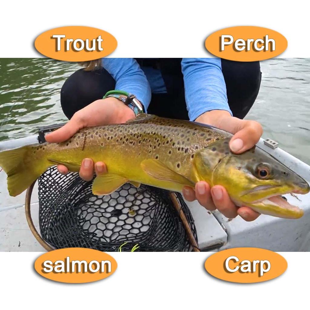 6/10 Stück/Set - Trockenfliegen Fliegenfischen Fliegen Köder Messingkopf Nymphe Weiß&Gelb Köder Angeln auf Hecht Forelle Lachs Barsch Fliegenfischen Fliegen - Größen#10