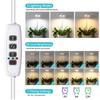 LED Telescopic Plant Growth Lamp: Angel Ring Full Spectrum Red & Blue Light for Succulents & Flowers