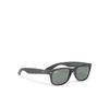 Ray-Ban New Wayfarer Sunglasses
