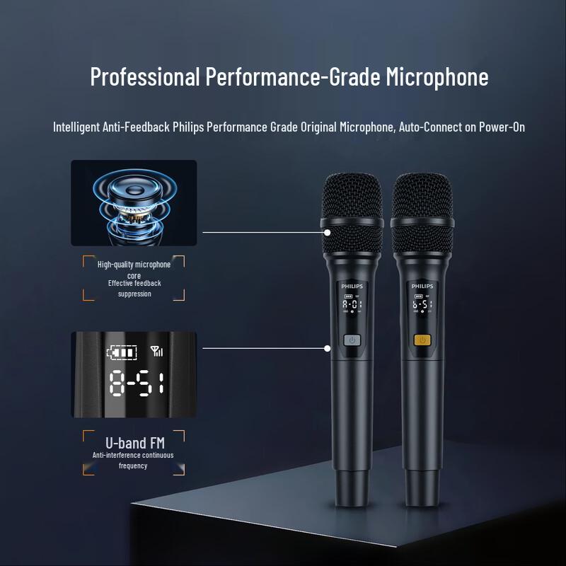 Philips SD139 Portable Outdoor KTV Bluetooth Speaker (CN Version)