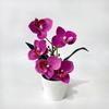 5 Blooms Artificial Orchid Arrangement Realistic Potted Flower Display  Table Centerpiece
