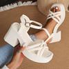 Women's Chunky Heel Sandals - New Summer Fashion Casual Comfortable Shoes Trendy Versatile Light Luxury Niche Elegant High Heel Sandals