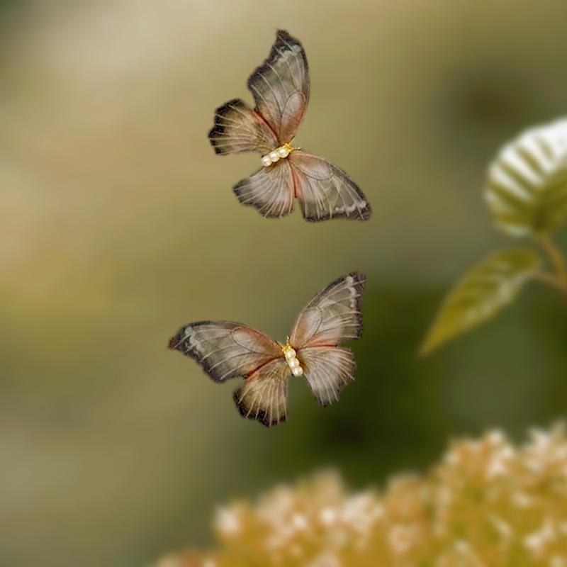 

Элегантная градиентная заколка-бабочка в форме утконоса - высококачественный сетчатый аксессуар для волос 2-pack butterflies