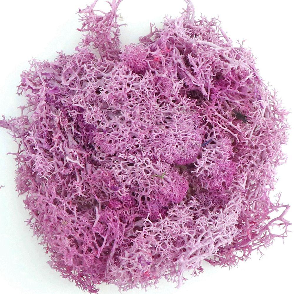 

Вітальня Міні Пейзаж Зелені Рослини Мох Вічний Мох Прикраса Саду Штучні Рослини фіолетовий