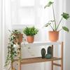 Top Quality Plastic Artificial Plants Green Eucalyptus Leaves Stems For Wedding Home Decoration Flower Office Kitchen Garden