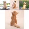 Meerkat Plush Toy With Pp Cotton Filling For Girls Birthday Gift