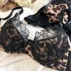 Sexy Leopard Print Women Lingerie Set French Lace Flowers Embroidery Mesh Bra Comfort Push Up Brassiere Charm Ladies Underwear