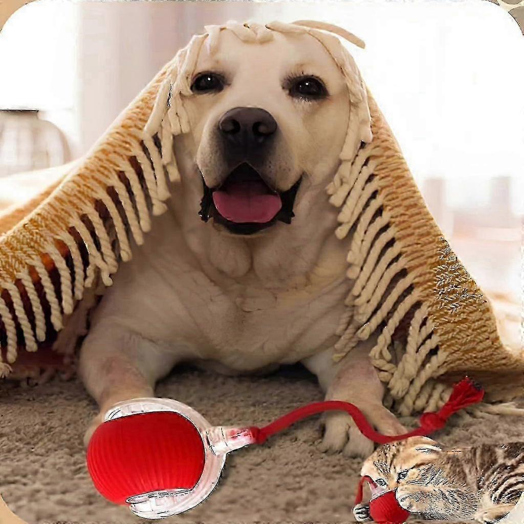 2 pcs 360 Smart Automatic Rolling Pet Ball, Rechargeable Irregular Movement for Cats & Dogs, Red